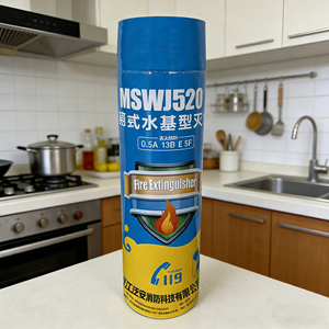 Extintor <span class=keywords><strong>de</strong></span> Agua Nebulizada <span class=keywords><strong>de</strong></span> Acero Inoxidable <span class=keywords><strong>de</strong></span> 3L, Clase ABEF, con Pasador <span class=keywords><strong>de</strong></span> Fácil Extracción para Incendios en Cocina y Automóvil, Fórmula Anticongelante - Product Image 4