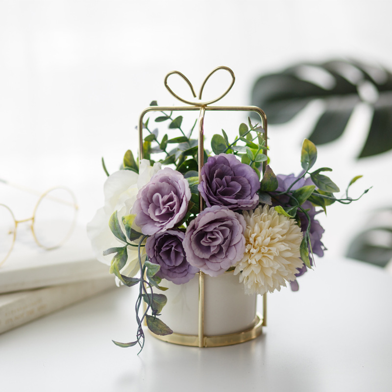 Z Sempervir violet avec petites boules blanches