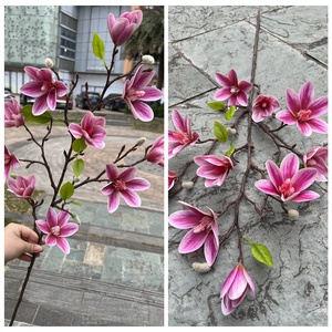 Capodanno 10 Baohua Magnolia casa di nozze Meichen fiori finti fabbrica diretta all'ingrosso nuova Magnolia di simulazione - Product Image 4