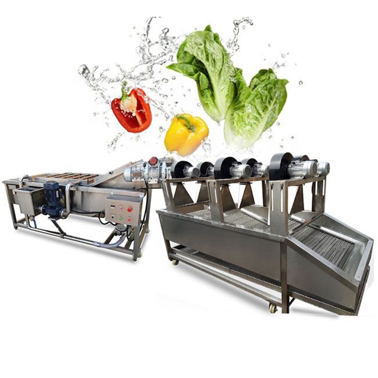 Máquina Automática Industrial de limpieza de manzana y jengibre para alimentos, máquina de lavado y secado de burbujas de aire para verduras y frutas múltiples