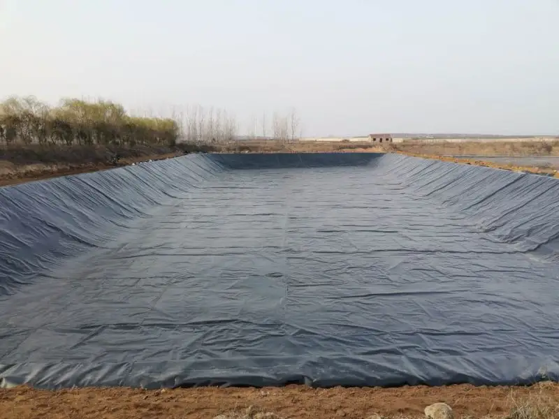 Geomembrane 0.75mm con membrana geotessile in hdpe nera da 1mm per rivestimento per stagno