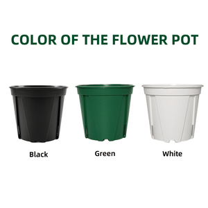 Macetas Modernas y Bonitas de Plástico PP de 5-7L para Vivero, Color Negro y Blanco, Verticales, para Jardín Interior, con Orificios de Drenaje, Elegantes para Hogar y Oficina - Product Image 4