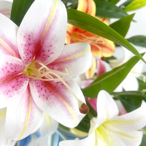 ดอกลิลลี่ประดิษฐ์ 3 หัว สำหรับตกแต่งงานแต่งงาน ตกแต่งบ้าน ตกแต่งโต๊ะ ช่อดอกไม้อีสเตอร์ วันรำลึก วันศุกร์ศักดิ์สิทธิ์ - Product Image 3