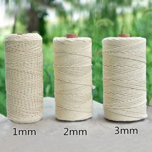 <span class=keywords><strong>1mm</strong></span> đến 20mm giá rẻ màu <span class=keywords><strong>Nylon</strong></span> PP Polypropylene đóng gói dây - Product Image 4