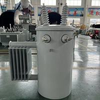 10KVA-100KVA 10KV 11KV étape double tension monophasé monté sur poteau ONAN immergé dans l'huile refroidissement DingXin D11 prix du transformateur
