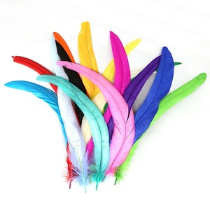 12-14 "Tẩy Trắng Và Nhuộm Dài Đầy Màu Sắc Giá Rẻ Bán Carnival Dậu Gà Trống Đuôi Lông 30-35CM Để Trang Trí Quần Áo - Product Image 5