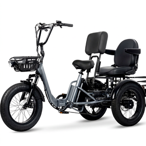 Tricycle électrique pliable pour adultes 2 places, 20 MPH, 100 miles d'autonomie, pneus larges de 4 pouces, tricycle électrique à 3 roues, 1200 W, 48 V - Product Image 1
