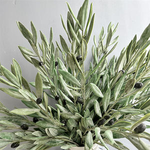 Nouvelle branche d'<span class=keywords><strong>olivier</strong></span> artificielle au toucher réel branche d'<span class=keywords><strong>olivier</strong></span> <span class=keywords><strong>en</strong></span> Latex givré branche de feuille d'<span class=keywords><strong>olivier</strong></span> petite <span class=keywords><strong>tige</strong></span> pour décor de chambre de restaurant d'hôtel vert - Product Image 6