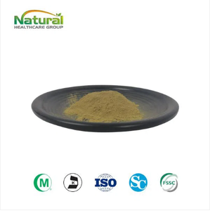 Produk organik QYHerb kualitas tinggi ekstrak nettl harga grosir ekstrak akar jelatang Harga Murah ekstrak jelatang 4:1 10:1 untuk dijual - Product Image 2