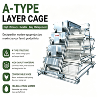 Cage à poules pondeuses automatique de type A, 5 niveaux, avec système d'alimentation, d'abreuvement, de collecte des œufs, de ramassage du fumier, abreuvoir à tétine, en acier galvanisé