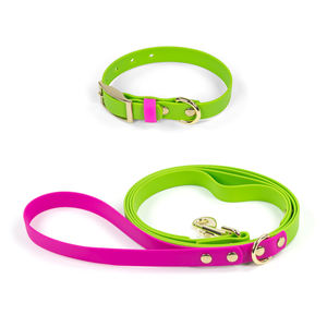 Collar de perro impermeable con correas recubiertas de PVC, bonitos colores, collares clásicos personalizados para mascotas, correa a juego con hebilla de Metal - Product Image 1