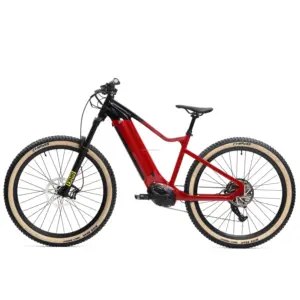 Novo Ola Plus Alta Qualidade Uso Diário 48V 500W 29 Polegada Bicicleta Elétrica com Bateria De Lítio para Adultos
