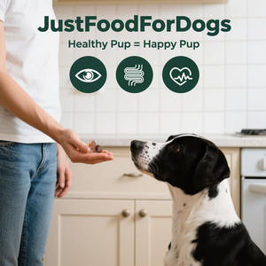 10-em 1 suplemento multifuncional mastiga para cães, glucosamina, ácidos graxos ômega-3, saúde das articulações, probióticos, multivitaminas cão - Product Image 4