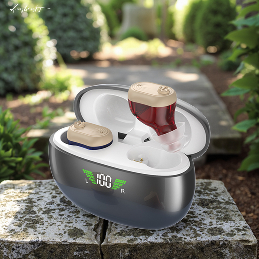 hearing aid cic rechargeable