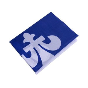 Bandera Nacional de Quebec N.° 4 de 90*150 cm, Impresión Digital, Poliéster Duradero, Asta de Bandera de Plástico, 3x5 Pies, Bolsa de OPP, Venta al por Mayor - Product Image 5