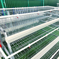 Équipement de batterie de type A pour l'élevage de poulets de chair, état neuf, poulailler pour poulets pondeuses
