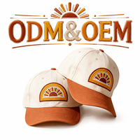 Venta Directa de Fábrica, Gorra de Béisbol Personalizada de 6 Paneles, Retro, con Parche Bordado con Logotipo, Visera Curva, Protección Solar, Dos Tonos