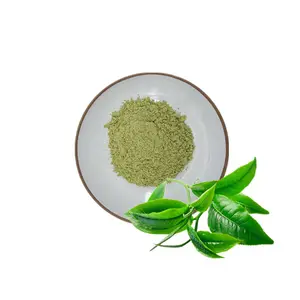 Hot selling Private Label OEM beverage grade 100% USDA Organic Matcha green tea powder