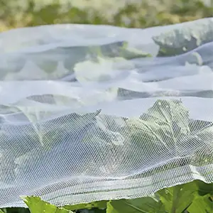 Fornecedor da China Agricultura Vegetais Antil Protected Inset Screen Net Rede de arame mosquiteiro Rede mosquiteira de frutas