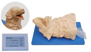 หุ่นจำลองฝึกอบรมการใส่ท่อช่วยหายใจสุนัขด้วยไฟฟ้าสำหรับการปฐมพยาบาลทางวิทยาศาสตร์การแพทย์ - Product Image 2