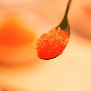 أفضل جودة شراء ماساجو وتوبيكو الساخن بيع ماساجو - Product Image 6