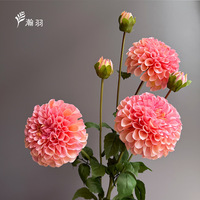 Fleur de Dahlia Corail à 2 Têtes Hydratante pour Mariage, Décoration Extérieure et Aménagement Paysager - Vente en Gros Transfrontalière