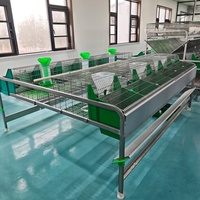 Fabricant vend directement des cages d'élevage de lapins de nouvelles spécifications multiples, en acier galvanisé, faciles à nettoyer