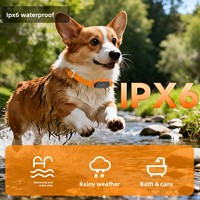 Localisateur d'animaux de compagnie 4G avec surveillance de la santé, suivi, collier pour chat et chien, clôture électronique antidérapante