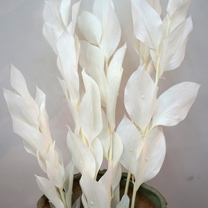 Vente en gros <span class=keywords><strong>bouquet</strong></span> de <span class=keywords><strong>fleurs</strong></span> <span class=keywords><strong>sèches</strong></span> naturelles fraîches conservées feuilles d'oranger fleur à tige séchée - Product Image 2