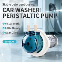 Pompe doseuse péristaltique micro-ajustable LEIRONG CP2, moteur 12V DC, basse pression, mini-pompe de transfert OEM pour laboratoire chimique