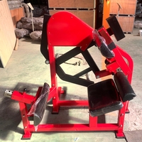 Machine d'extension lombaire pour salle de sport, équipement de fitness commercial, export direct usine