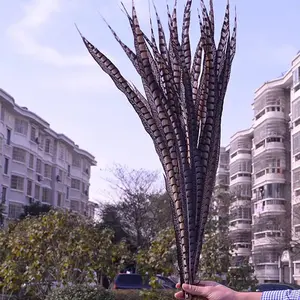 Plumes de faisan, 120cm, plumes pour carnaval, livraison directe d'usine, bon marché