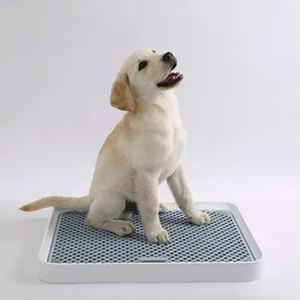 Prix d'usine Chine Vente en gros Coussinets d'apprentissage pour chiens et couches pour chats pour l'extérieur et les voyages en voiture - Product Image 1