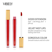 Professionnel de haute qualité végétalien mat marque privée étanche maquillage des lèvres brillant à lèvres en gros mat liquide rouge à lèvres glaçure à lèvres