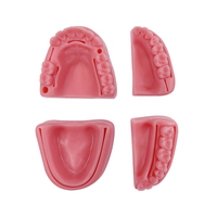YOUYA DENTAL Juego de 4 Piezas, Modelo de Simulación Dental para Sutura Oral, Equipo de Enseñanza y Entrenamiento de Sutura de Encías