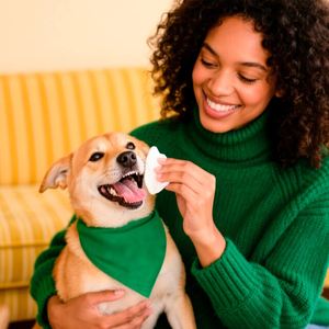 OEM Attractive Price Eco-Friendly Non-Woven Portable <b>Biodegradable</b> Pet Wet <b>Wipes</b> Unscented - Product Image 3
