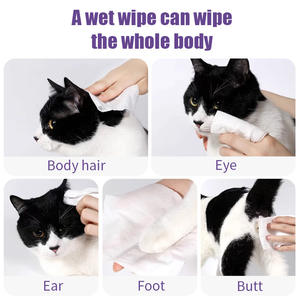 Nouvelles lingettes nettoyantes pour animaux de compagnie sans alcool, à usage unique, vente chaude pour le commerce extérieur, 80 lingettes pour chats et chiens, nettoyage sans rinçage, en plastique souple - Product Image 2