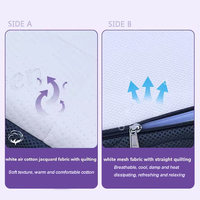 Skylee 4D King/Queen Size Air Nest POE Polymer Matratze - Umweltfreundlich Wasserabweisend für Hotel-Schlafzimmer mit Abnehmbarem Bezug
