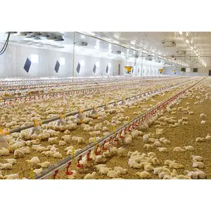 Maison préfabriquée de luxe résistante aux intempéries de haute qualité pour poulets de chair poulailler à grande cage avec ventilation à vendre