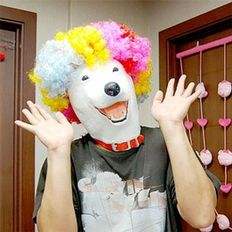 Máscaras de fiesta Apro WAe - Product Image 1