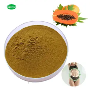 ISO factory free sample papaya fruit extract powder high quality 600u/mg Papain powder