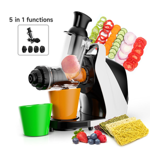 Extractor de Jugos Prensado en Frío de 250W, Máquina Lenta para Hacer Jugos, Extractor de Zanahoria y Pasto de Trigo - Product Image 1