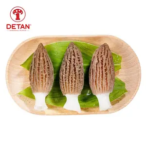 Wild Fresh Morchella Morel Mushrooms Wholesale Price Of Black Morel Mushroom