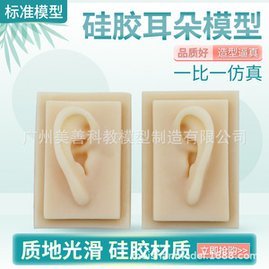 Modelo de oído simulado 1:1 para adultos, oído humano, tipo timpano, oído de silicona para acupuntura (oreja derecha) - Product Image 5