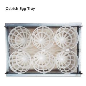 사용하기 쉬운 지능형 가금류 닭 칠면조 계란 부화기 부화 기계 - Product Image 5