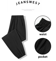 Vente directe d'usine pantalons pour hommes pas cher Bangladesh coupe-vent été pantalons à séchage rapide hommes pantalons de survêtement