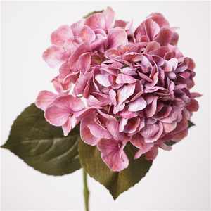 CM-RT007 vero tocco ortensia fiore artificiale grandi fiori <span class=keywords><strong>ortensie</strong></span> matrimonio artificiale in lattice bianco verde Hortensia - Product Image 3