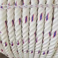 Corde en plastique marine en PP torsadée de grande taille pour la pêche, corde en polypropylène résistante de 6 mm, 8 mm, 25 mm