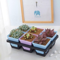 Pot de plantes en plastique à 6/12/20/24/40 cellules, plateau pour graines, taille multiple, vente en gros