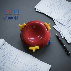 Modelo de demostración de tipo de <span class=keywords><strong>sangre</strong></span> ABO (10 piezas) Simulador de grupo sanguíneo de ciencia médica Equipo de asistencia educativa Enseñanza - Product Image 1